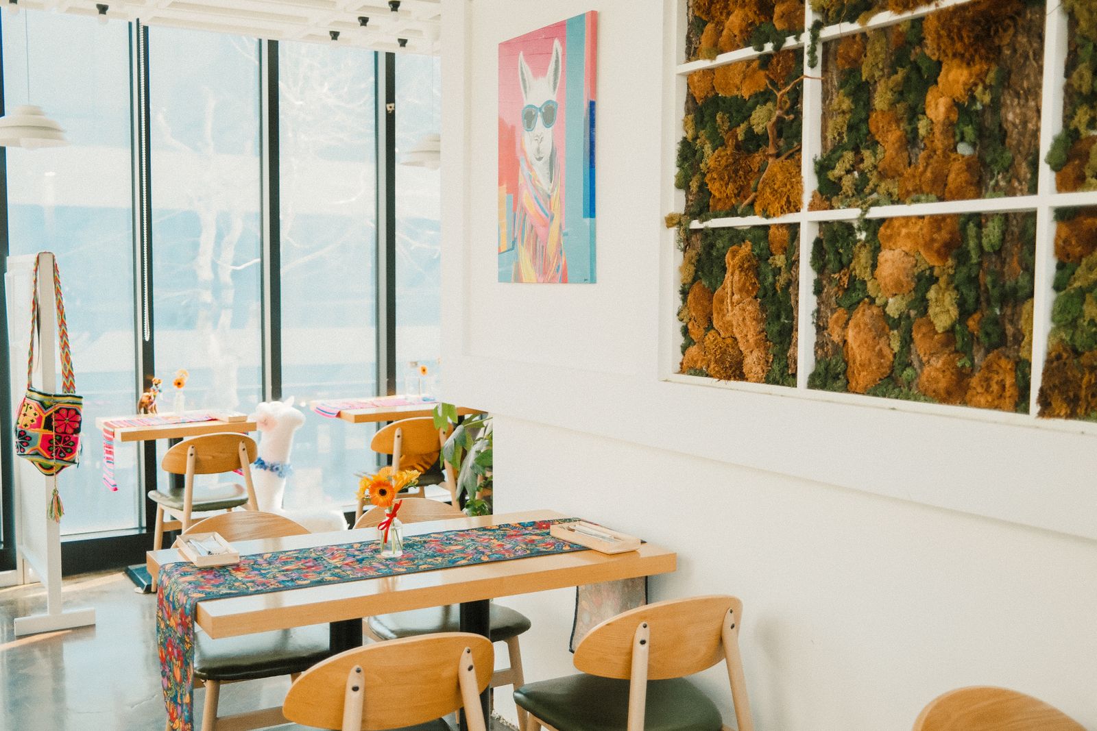 Sunny café with modern decor, featuring colorful art and natural elements.